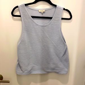 Aritzia Babaton Powder Blue Tanktop